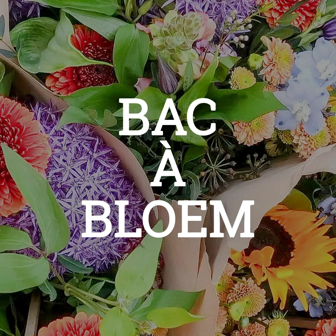Flower bouquets by Bac &agrave; Bloem at March&eacute; Saint-G&eacute;ry