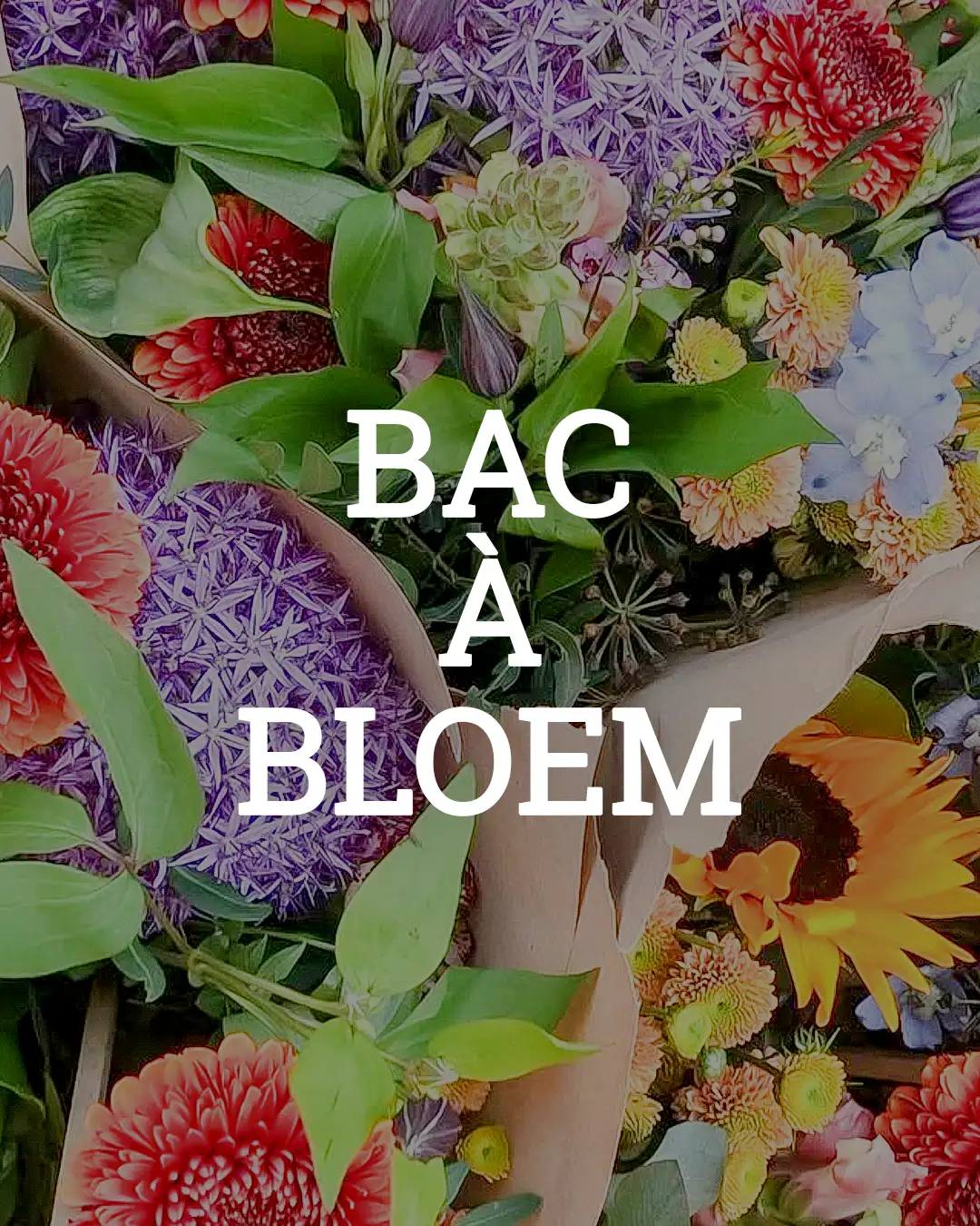 Flower bouquets by Bac à Bloem at Marché Saint-Géry